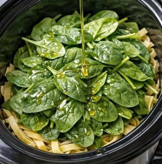 धीमी कुकर पालक पास्ता प्रिमावेरा